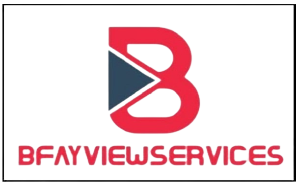 B-FAY VIEW SERVICES LTD